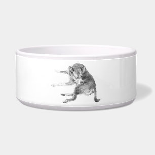 Tigela Refeição do Cachorro Feliz