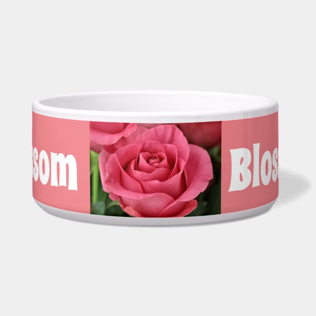 Tigela Rosa Brilhante (Frente)