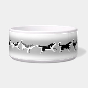 Tigela Rouco Cachorro Cachorro Siberiano Cachorro Comida