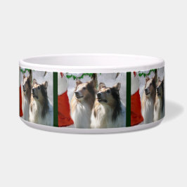 Tigela Sable Rough Collie Bowl