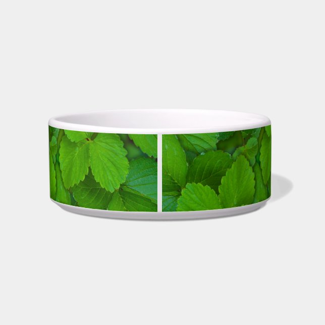 Tigela Santo Basil Tulsi Green Mint Folhas (Traseira)