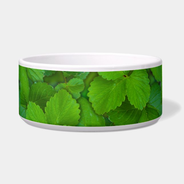 Tigela Santo Basil Tulsi Green Mint Folhas (Frente)