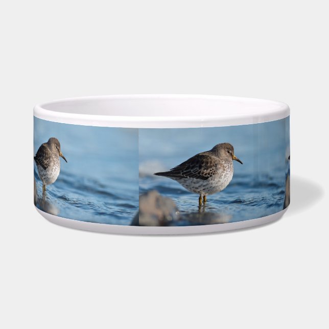 Tigela Searing Rock Sandpiper (Esquerda)