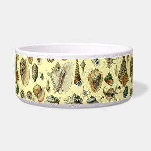 Tigela Seashell Shell Mollusk Clam Elegant Clam Art