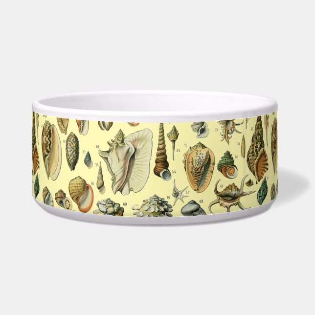 Tigela Seashell Shell Mollusk Clam Elegant Clam Art (Frente)