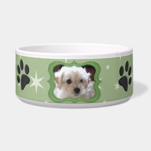 Tigela Seu Cachorro Estrela - Personalize a Foto