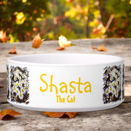 Tigela Shasta Daisy Bundles Fotografia Modelo