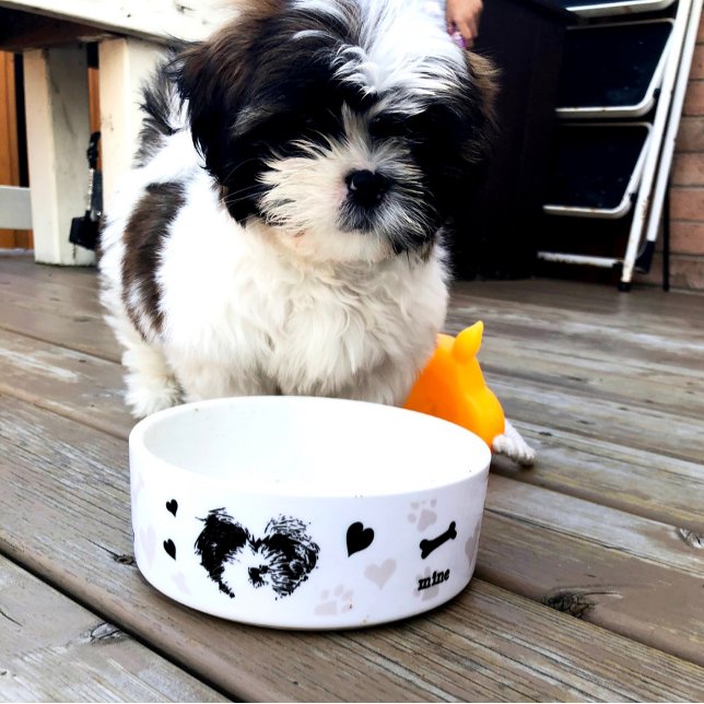 Tigela Shh Tzu Modern Pup Icon Bowl Personalizado (Criador carregado)