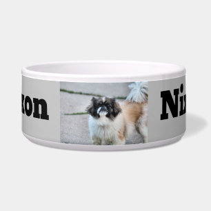 Tigela Shih Tzu