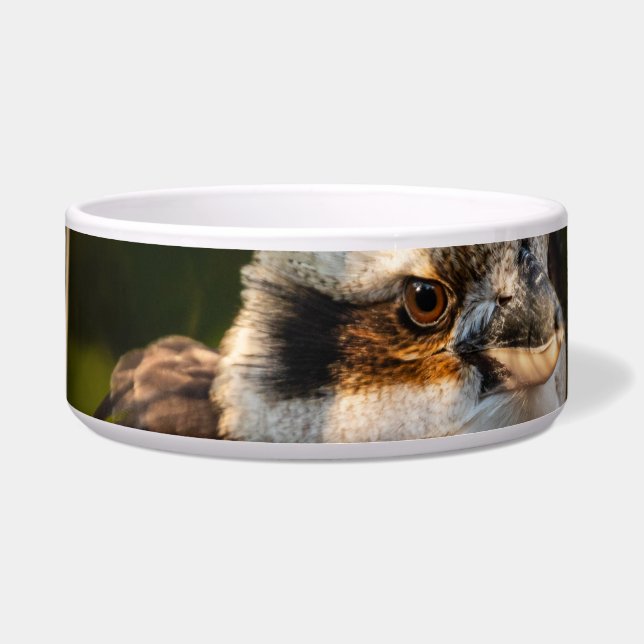 Tigela Soprava rindo kookaburra (Frente)