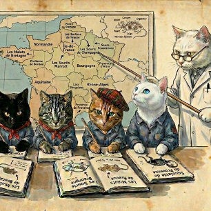 Tigela Sourisseries de France Especialista Regional Rato
