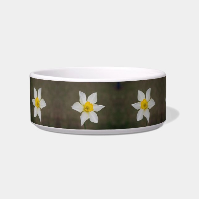 Tigela Springtime Cat Bowl (Esquerda)