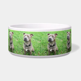 Tigela Staffordshire Bull Terrier Atento,