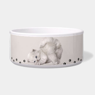 Tigela "Tigela do Patinho"? Gatinhx🐾✨