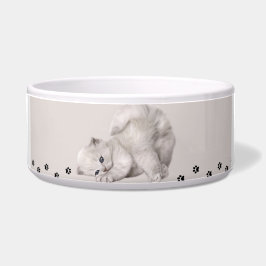 Tigela "Tigela Pawyer"? Gatinho