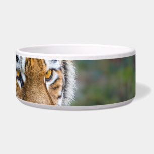 Tigela Tigre-de-amur