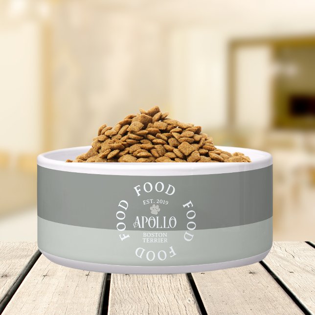 Tigela Tipografia de Letra Arqueada Personalizada de Duas (Customize this fun, custom dog bowl with your pet's name! )