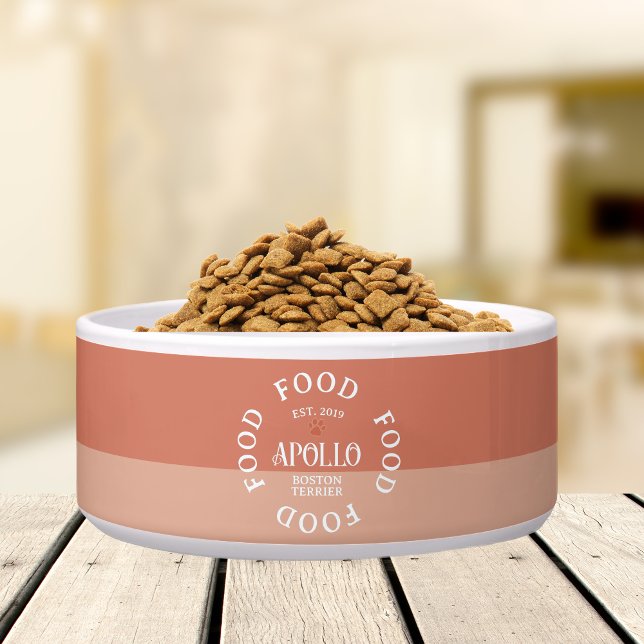 Tigela Tipografia de Script Archado Personalizada Nome de (Customize this fun, custom dog bowl with your pet's name! )