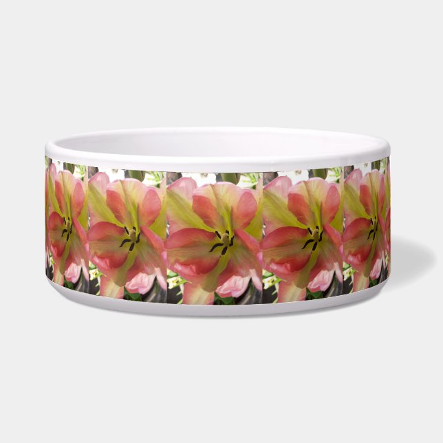 Tigela Tulipas Cerâmicas Pet Bowl Rosa e Amarelo (Frente)