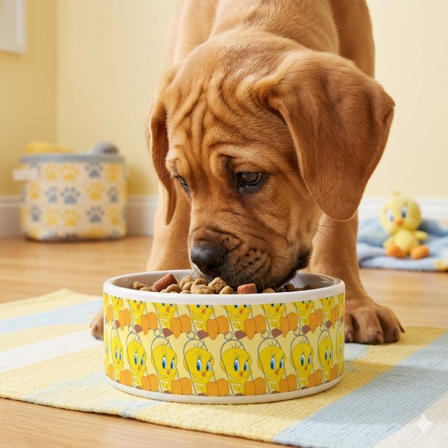 Tigela Tweety Bowl (Criador carregado)