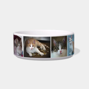 Tigela Um Par de Gatinhos