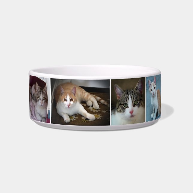 Tigela Um Par de Gatinhos (Frente)