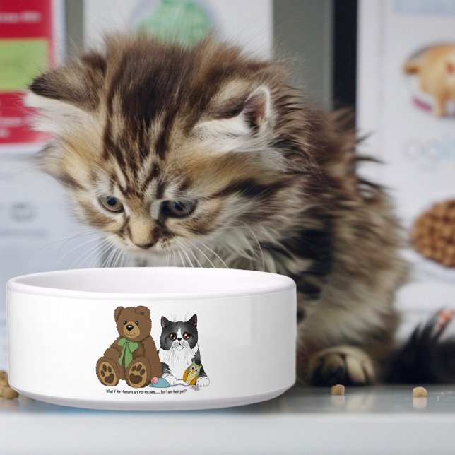 Tigela Urso de pelúcia gato cinza pêssego engraçado (Criador carregado)