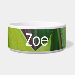 Tigela Verde tropical deixa Pet Bowl com texto ZEO