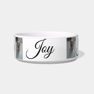 Tigela "Whisker Haven: Na moda e Pet Bowls Práticos para