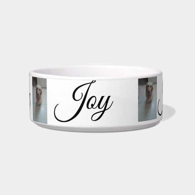 Tigela "Whisker Haven: Na moda e Pet Bowls Práticos para (Frente)