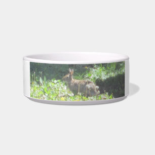 Tigela Wild Bunny Pet Bowl