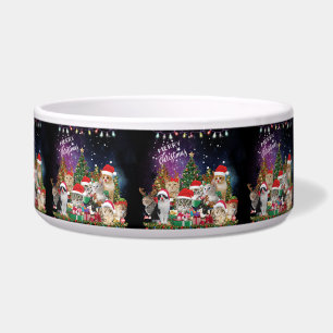 Tigelas de Luz de Feliz Natal para Gatos