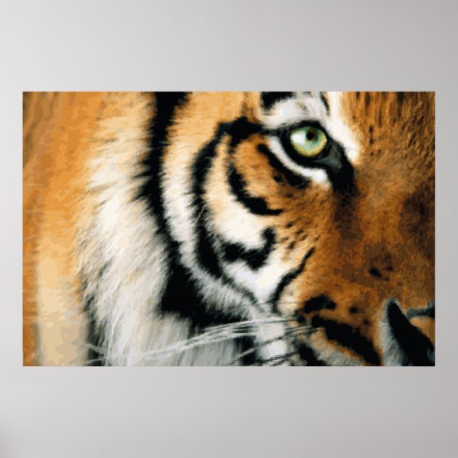 Tiger 2 - Poster (Frente)