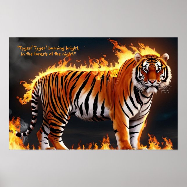 Tiger Burning Poster (Frente)