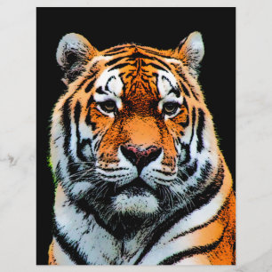 Tiger Eyes Inspiration