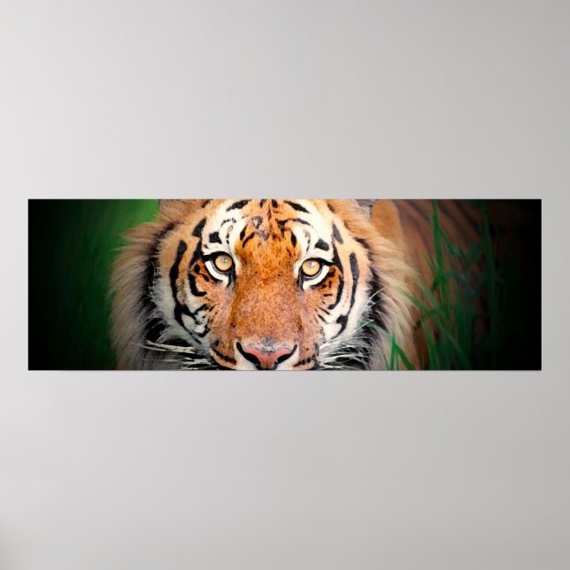 Tiger Eyes Poster (Frente)