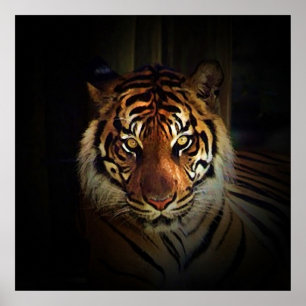 Tiger Eyes Poster - Impressões de Arte Selvagens