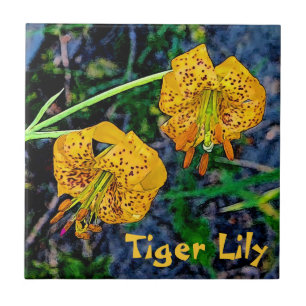Tiger Lily