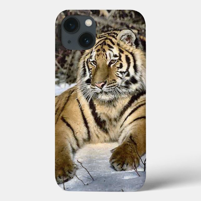 Tiger Lovers (Verso)