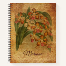 Tiger Orchid Vintage Paper Style Art