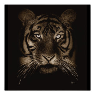 Tiger Original Art Poster Impressão