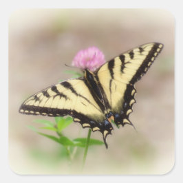Tiger Swallowtail - Adesivo Quadrado da Borboleta