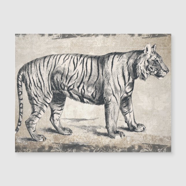 Tiger Vintage Wildlife Grunge Decorative (Frente)