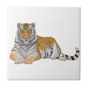 Tigre