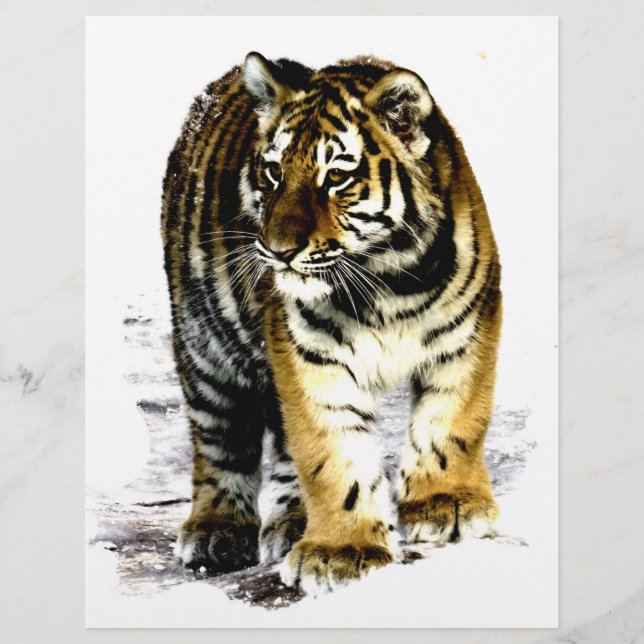 Tigre (Frente)