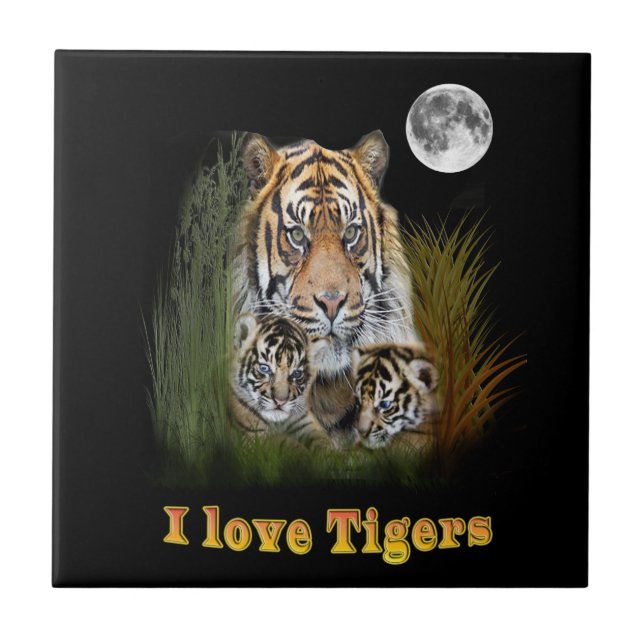 Tigre (Frente)