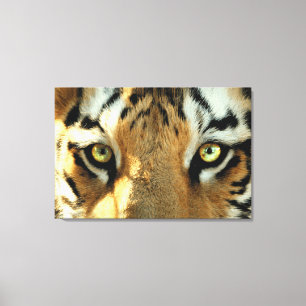 Tigre 1 - Canvas