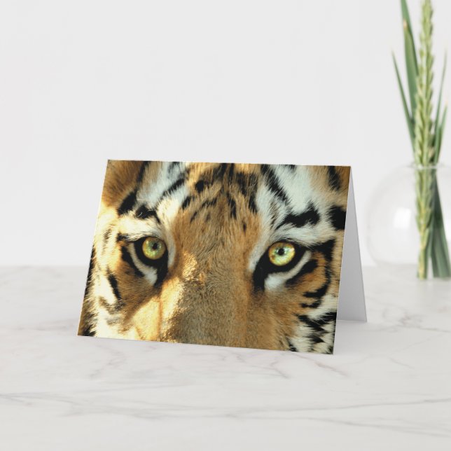 Tigre 1 - Cartão de Saudação (Frente)