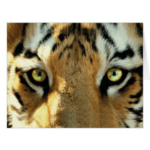 Tigre 1 - Cartão de Saudação