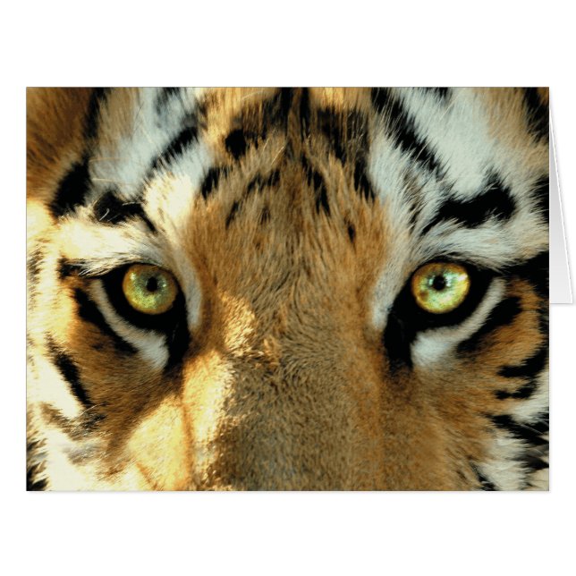 Tigre 1 - Cartão de Saudação (Frente horizontal)